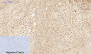 BT LAB manufacturer product image