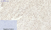 BT LAB manufacturer product image
