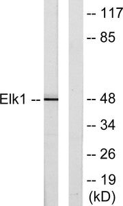 BT LAB manufacturer product image