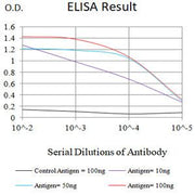 BT LAB manufacturer product image