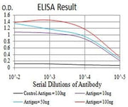 BT LAB manufacturer product image