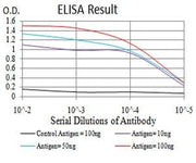 BT LAB manufacturer product image