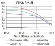 BT LAB manufacturer product image
