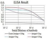 BT LAB manufacturer product image