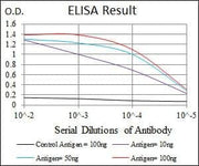 BT LAB manufacturer product image
