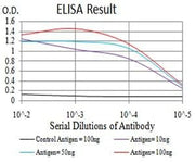 BT LAB manufacturer product image