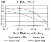 BT LAB manufacturer product image