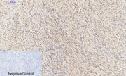 BT LAB manufacturer product image