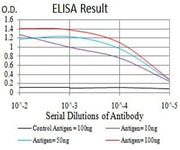 BT LAB manufacturer product image