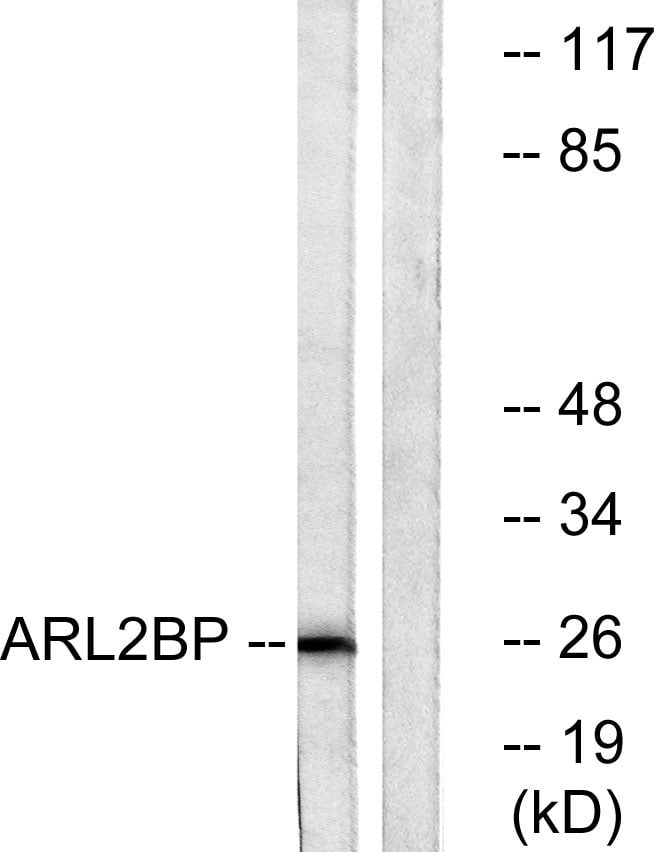 BT LAB manufacturer product image