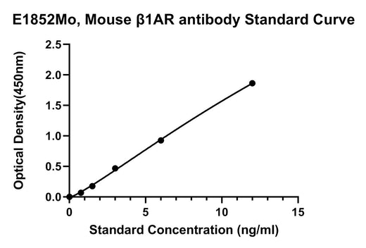 BT LAB manufacturer product image