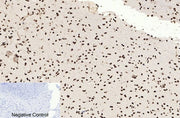 BT LAB manufacturer product image