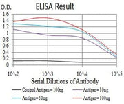 BT LAB manufacturer product image