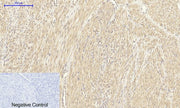 BT LAB manufacturer product image
