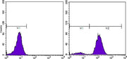 BT LAB manufacturer product image