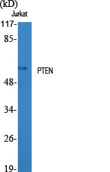 BT LAB manufacturer product image