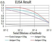 BT LAB manufacturer product image