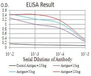 BT LAB manufacturer product image