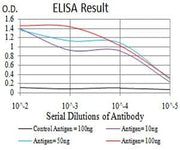 BT LAB manufacturer product image