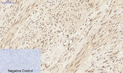 BT LAB manufacturer product image