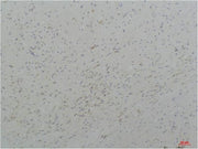 BT LAB manufacturer product image
