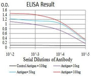 BT LAB manufacturer product image