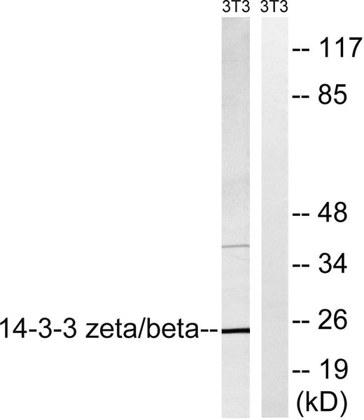 BT LAB manufacturer product image