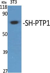 BT LAB manufacturer product image