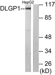 BT LAB manufacturer product image