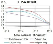 BT LAB manufacturer product image