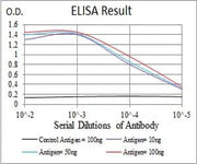 BT LAB manufacturer product image