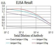 BT LAB manufacturer product image