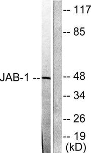 BT LAB manufacturer product image