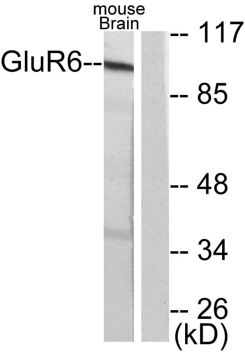 BT LAB manufacturer product image