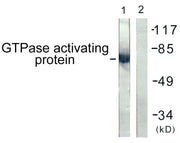 BT LAB manufacturer product image