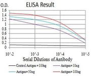 BT LAB manufacturer product image