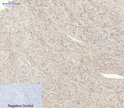 BT LAB manufacturer product image