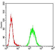 BT LAB manufacturer product image