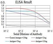 BT LAB manufacturer product image