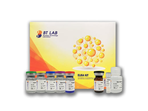 BT LAB ELISA kit packaging — manufacturer reference image