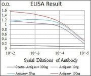 BT LAB manufacturer product image