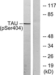 BT LAB manufacturer product image
