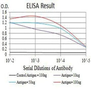 BT LAB manufacturer product image