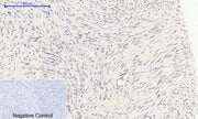 BT LAB manufacturer product image