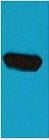 BT LAB manufacturer product image