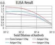 BT LAB manufacturer product image