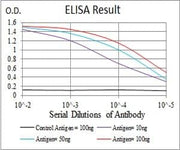 BT LAB manufacturer product image