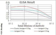 BT LAB manufacturer product image