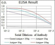 BT LAB manufacturer product image