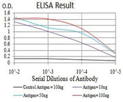 BT LAB manufacturer product image